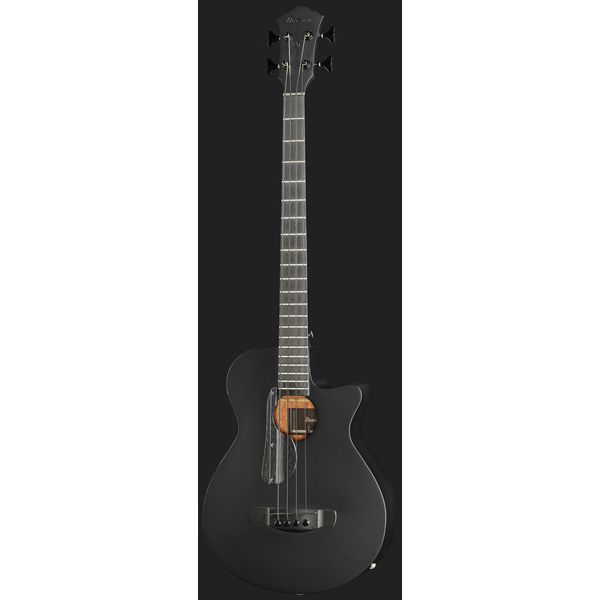 Ibanez AEGB420-BOT