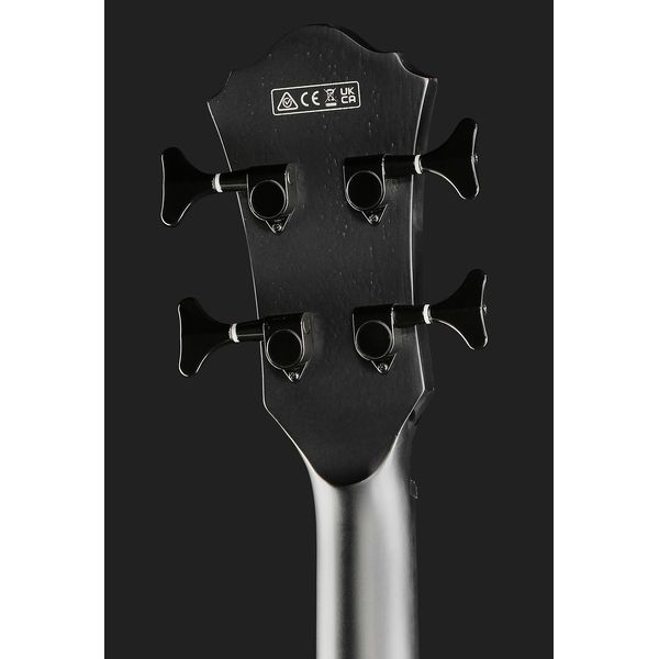 Ibanez AEGB420-BOT