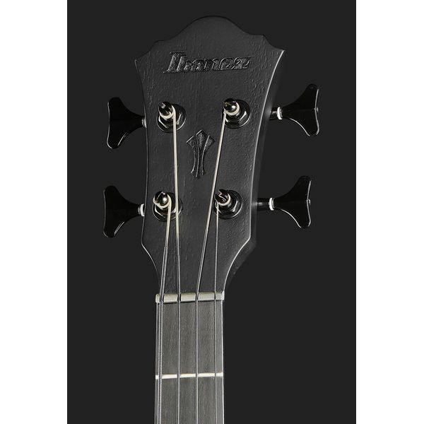 Ibanez AEGB420-BOT