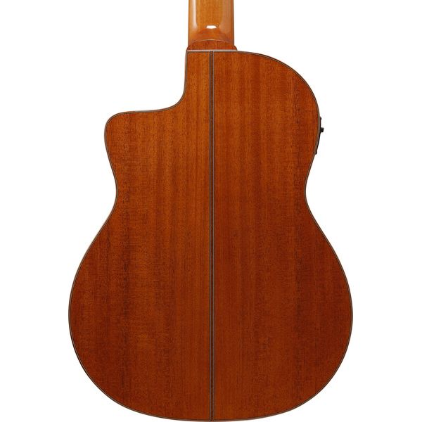 Ibanez GA3007CE-NT