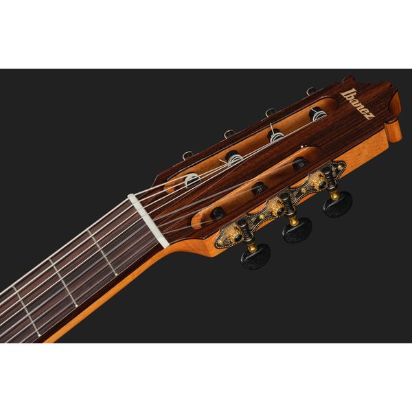 Ibanez GA3007CE-NT