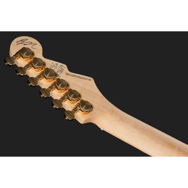 Reverend Ryan Malicsi Signature MM