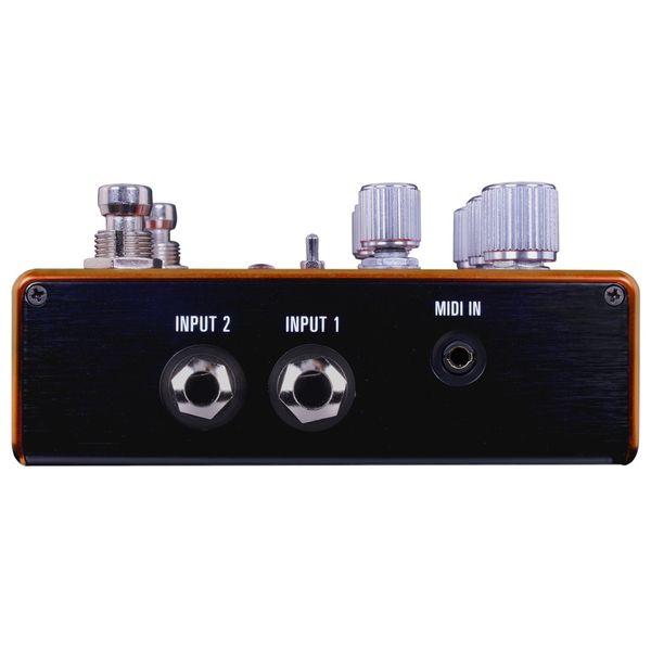 Source Audio Pathways Reverb & Tremolo