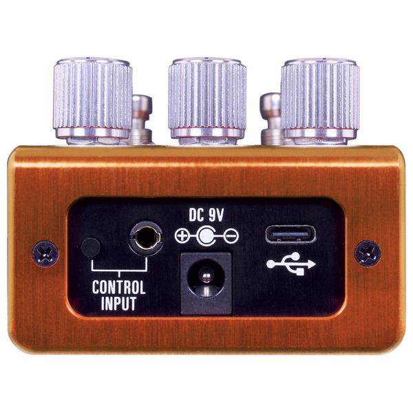 Source Audio Pathways Reverb & Tremolo