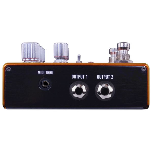 Source Audio Pathways Reverb & Tremolo