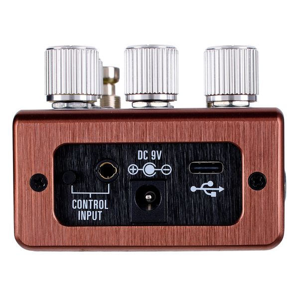 Source Audio Pathways Reverb & Tremolo