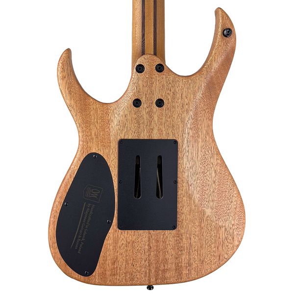 Mayones Guitars Duvell Elite Pro 6 Fire Dragon