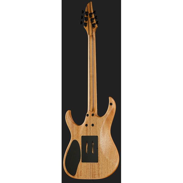 Mayones Guitars Duvell Elite Pro 6 Fire Dragon