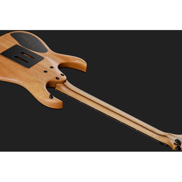 Mayones Guitars Duvell Elite Pro 6 Fire Dragon