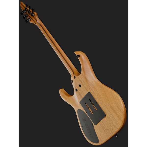 Mayones Guitars Duvell Elite Pro 6 Fire Dragon