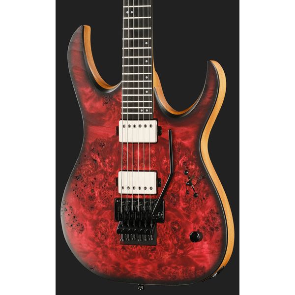 Mayones Guitars Duvell Elite Pro 6 Fire Dragon