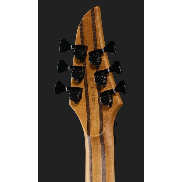 Mayones Guitars Duvell Elite Pro 6 Fire Dragon