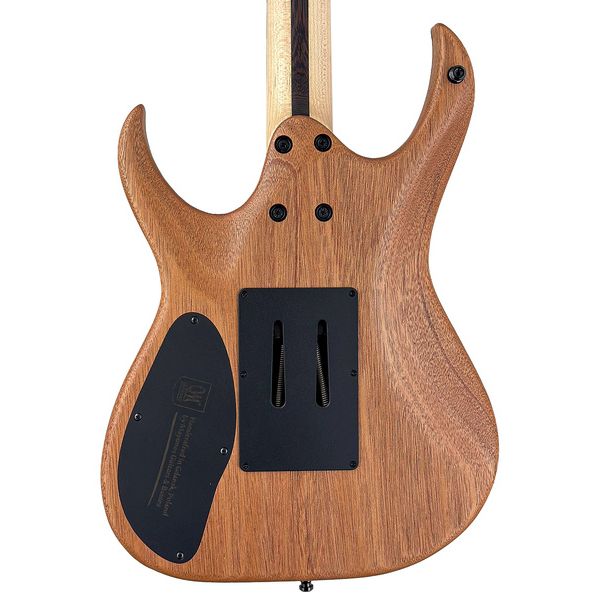 Mayones Guitars Duvell Elite Pro 6 Ice Dragon