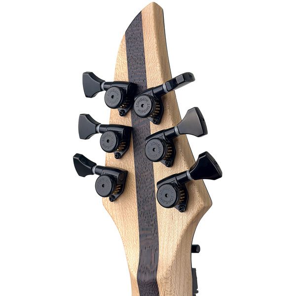 Mayones Guitars Duvell Elite Pro 6 Ice Dragon