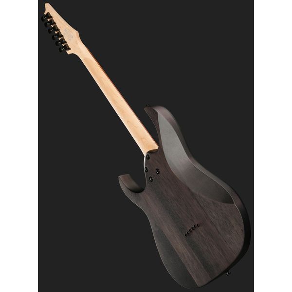 Ibanez RGR431PB-CGF
