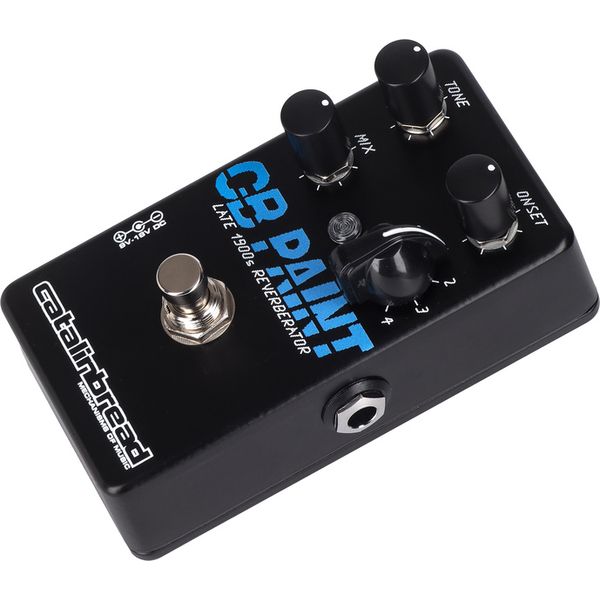 Catalinbread CB Paint late 1900s Reverb