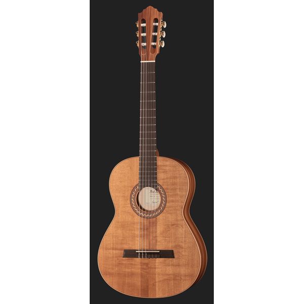 Höfner HGL8 Green Line w/GigBag