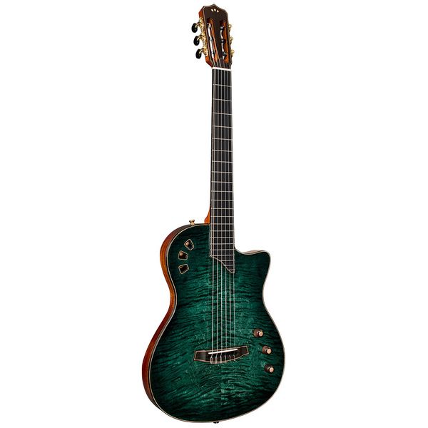 Cordoba Stage Artist Agave Burst