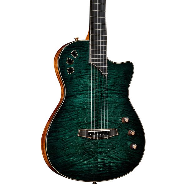 Cordoba Stage Artist Agave Burst