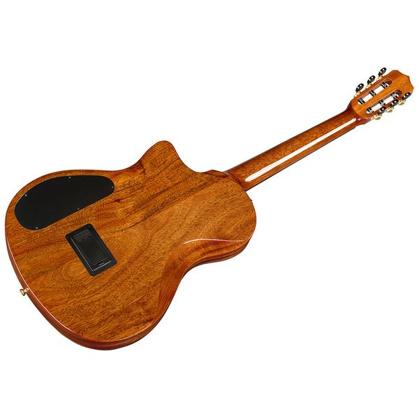 Cordoba Stage Artist Agave Burst