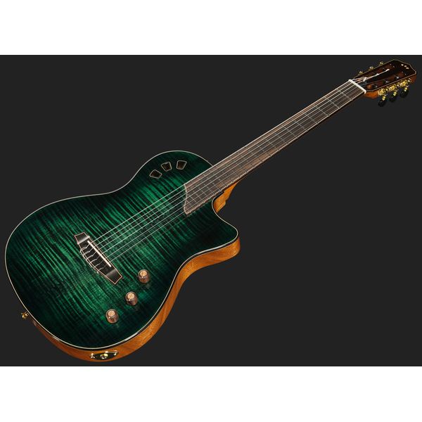 Cordoba Stage Artist Agave Burst
