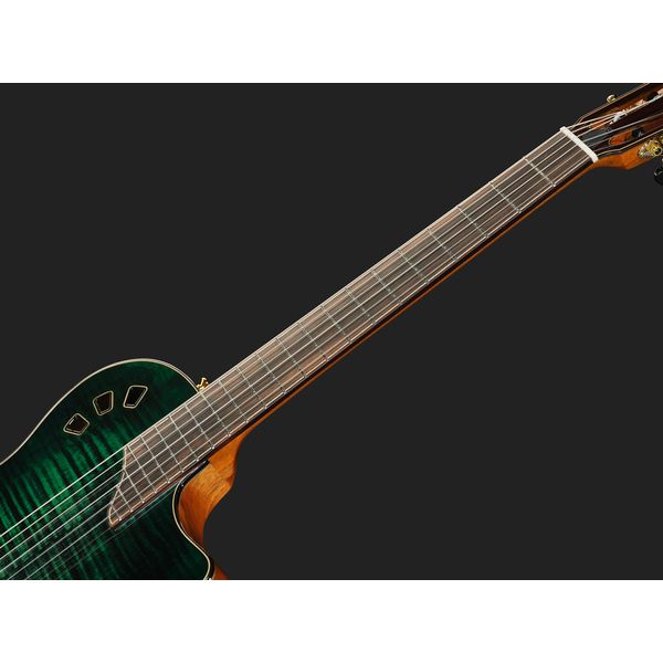 Cordoba Stage Artist Agave Burst