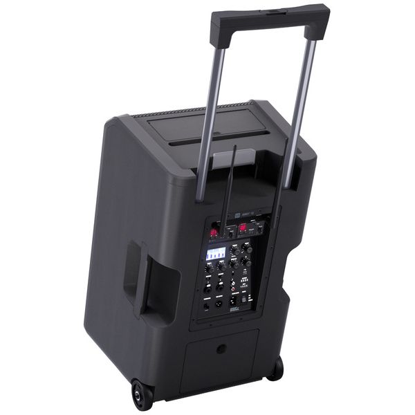 LD Systems ANNY 12 BPH 2 B5