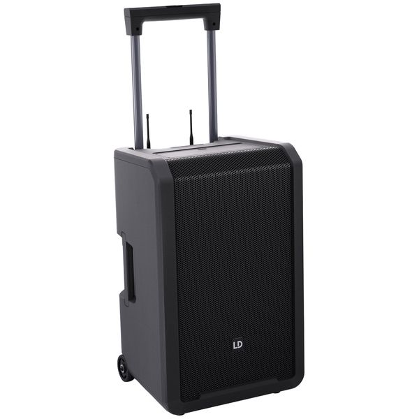 LD Systems ANNY 12 BPH 2 B8