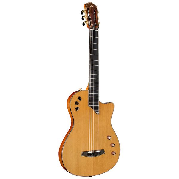 Cordoba Stage Artist Traditional