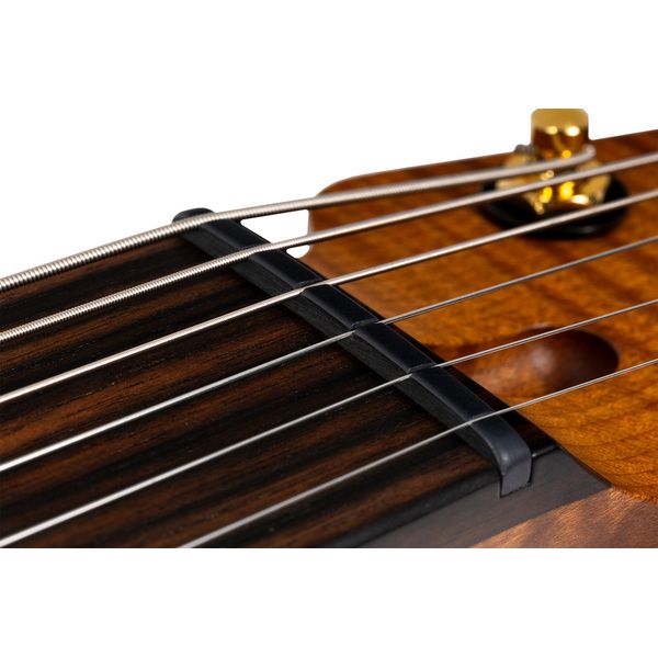 Schecter USA CET 50th Anniversary GA