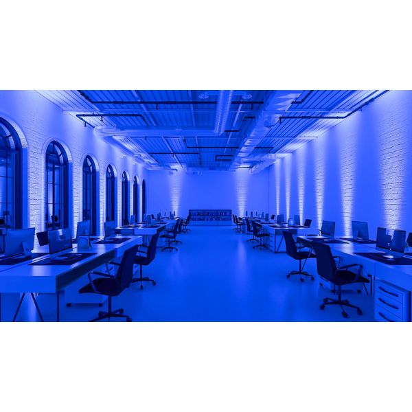 Ape Labs ApeLight maxi V2 VV Single G