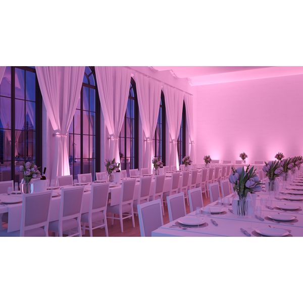 Ape Labs ApeLight maxi V2 VV Single G