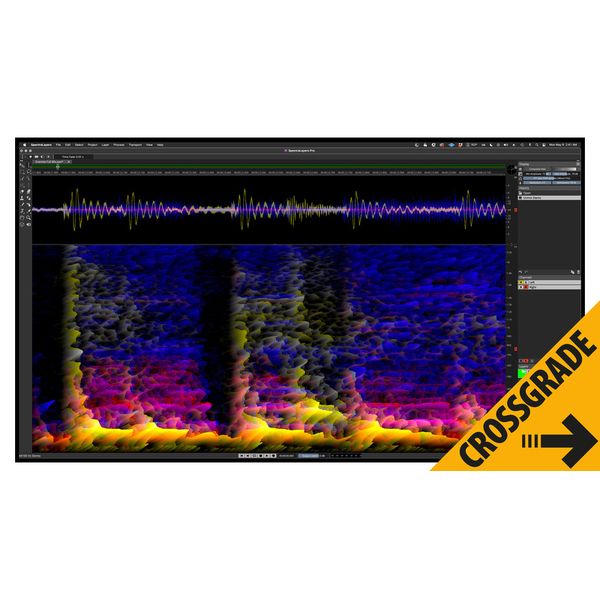 Steinberg SpectraLayers Pro 12 CG