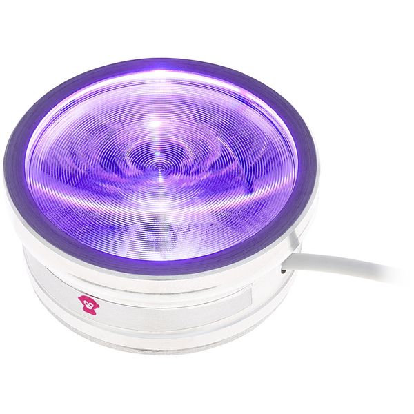 Ape Labs ApeCoin Tube V2 Grey Bundle