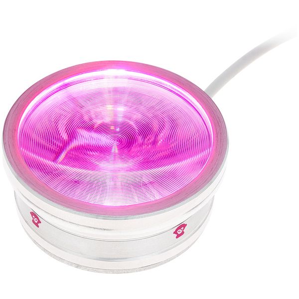 Ape Labs ApeCoin Tube V2 Grey Bundle