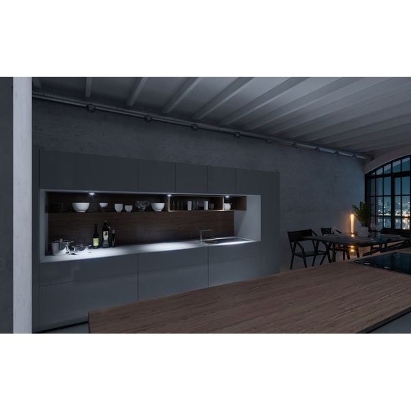 Ape Labs ApeCoin Tube V2 Grey Bundle