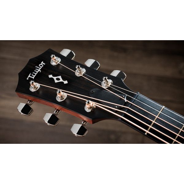 Taylor 312ce Next Generation