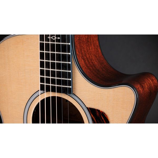 Taylor 312ce Next Generation