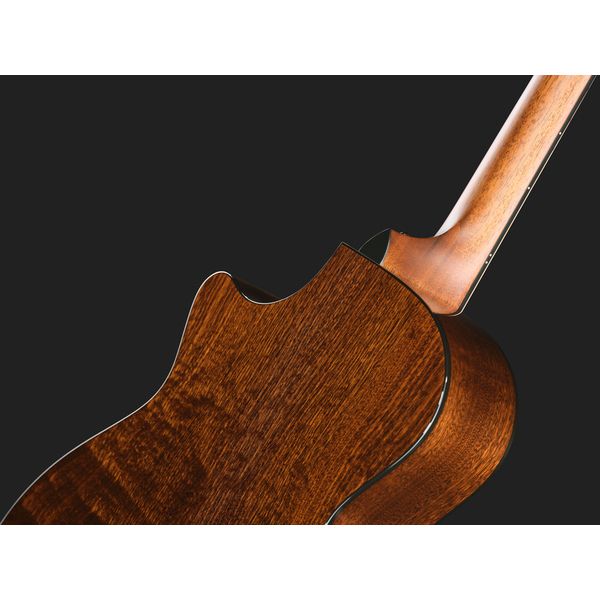 Taylor 312ce Next Generation