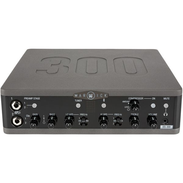 Warwick Stage Series DS 300