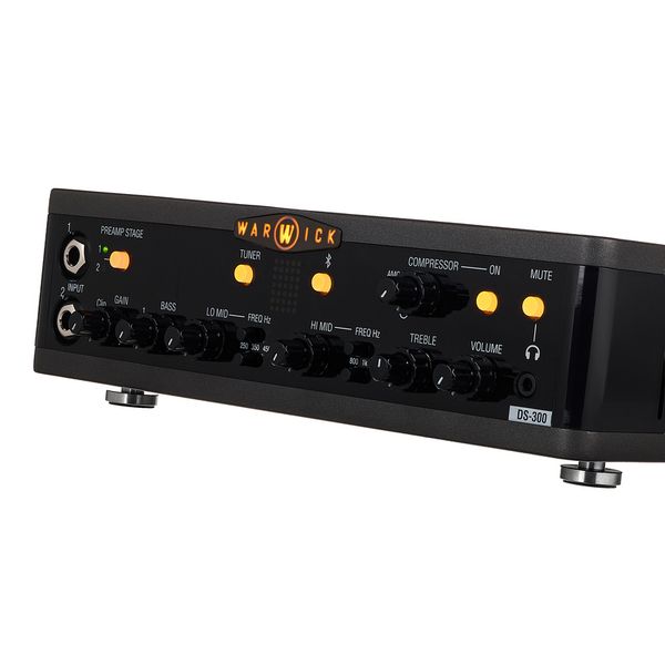 Warwick Stage Series DS 300