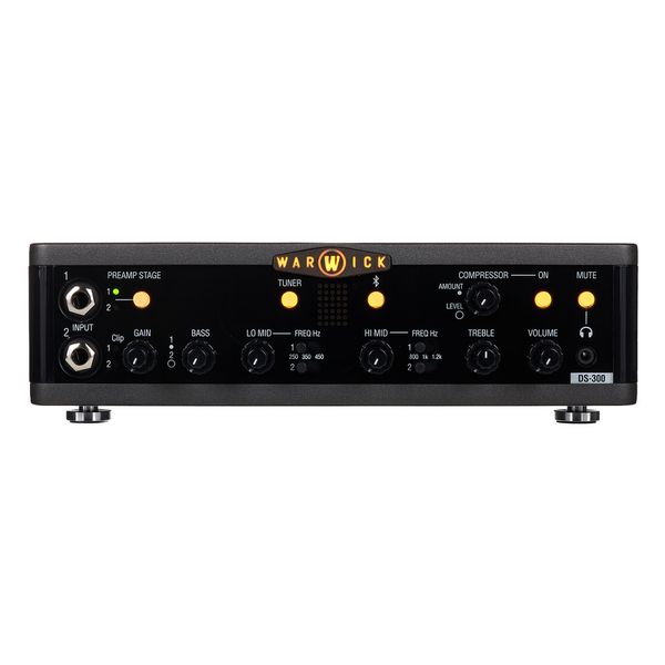 Warwick Stage Series DS 300