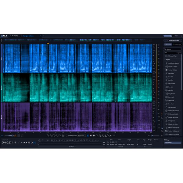 iZotope RX 12 Standard
