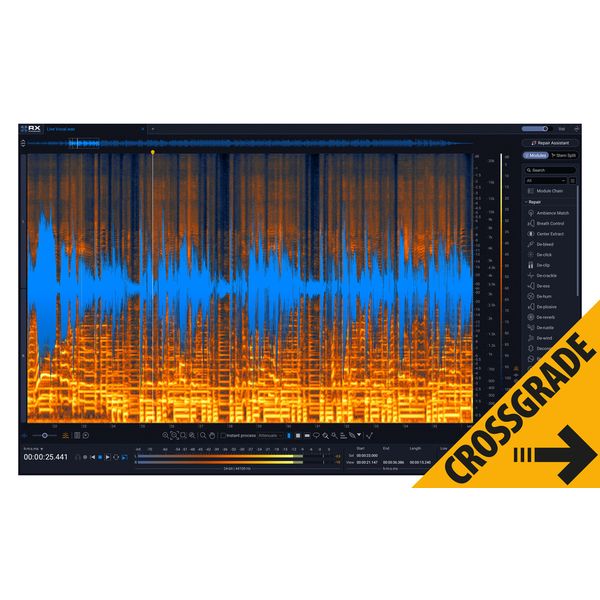 iZotope RX 12 Std CG any paid