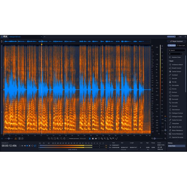 iZotope RX 12 Adv UG RX 12 Std