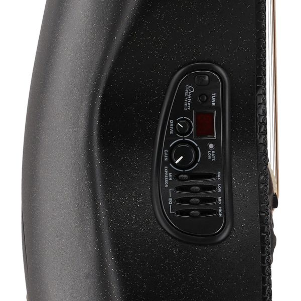 Adamas 1678-AG-G 50th Anni DNC LTD