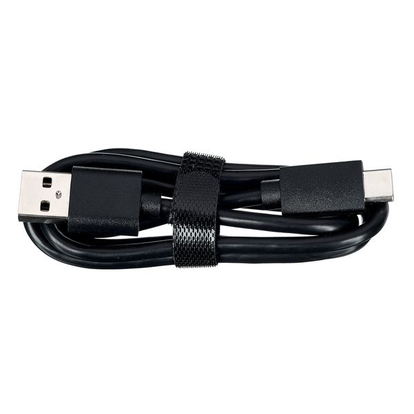 Hollyland LARK M2 with USB-C Plug