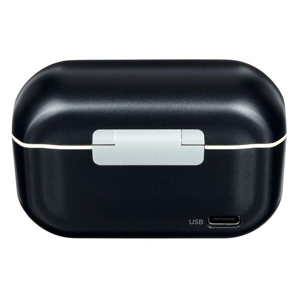 Hollyland LARK M2 with USB-C Plug