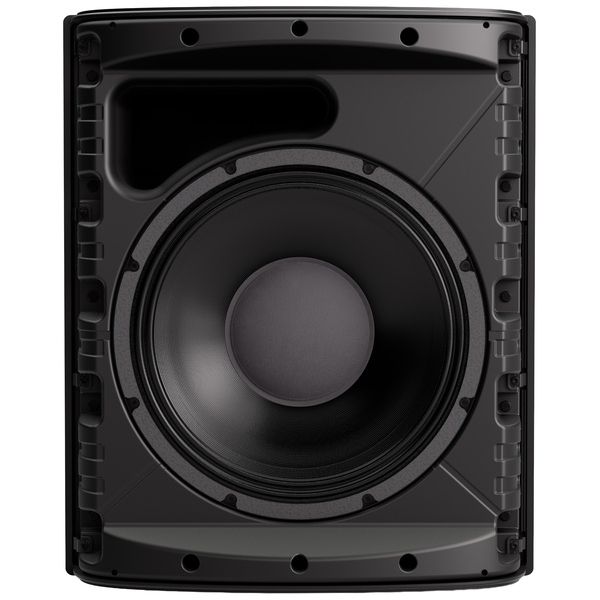 Bose Professional DesignMax DM12SE black