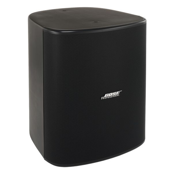 Bose Professional DesignMax DM12SE black